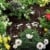 Gardena 1362-20 Micro-Drip-System Tropfrohr oberirdisch 4,6 mm (3/16