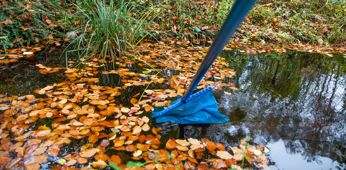 Teich winterfest machen das ist jetzt zu tun Pumpen Welt